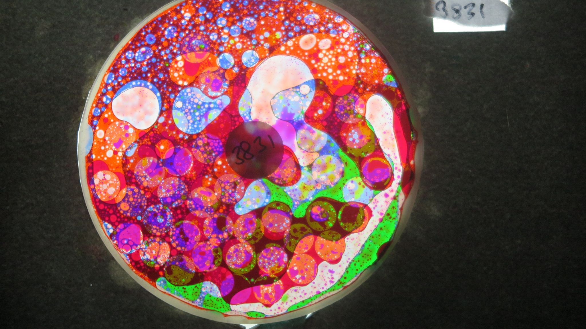 BV3831 bubble vision oil wheel